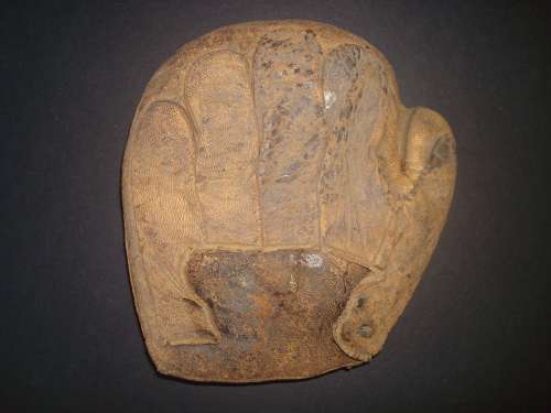 c. 1890's Catcher's Mitten Back